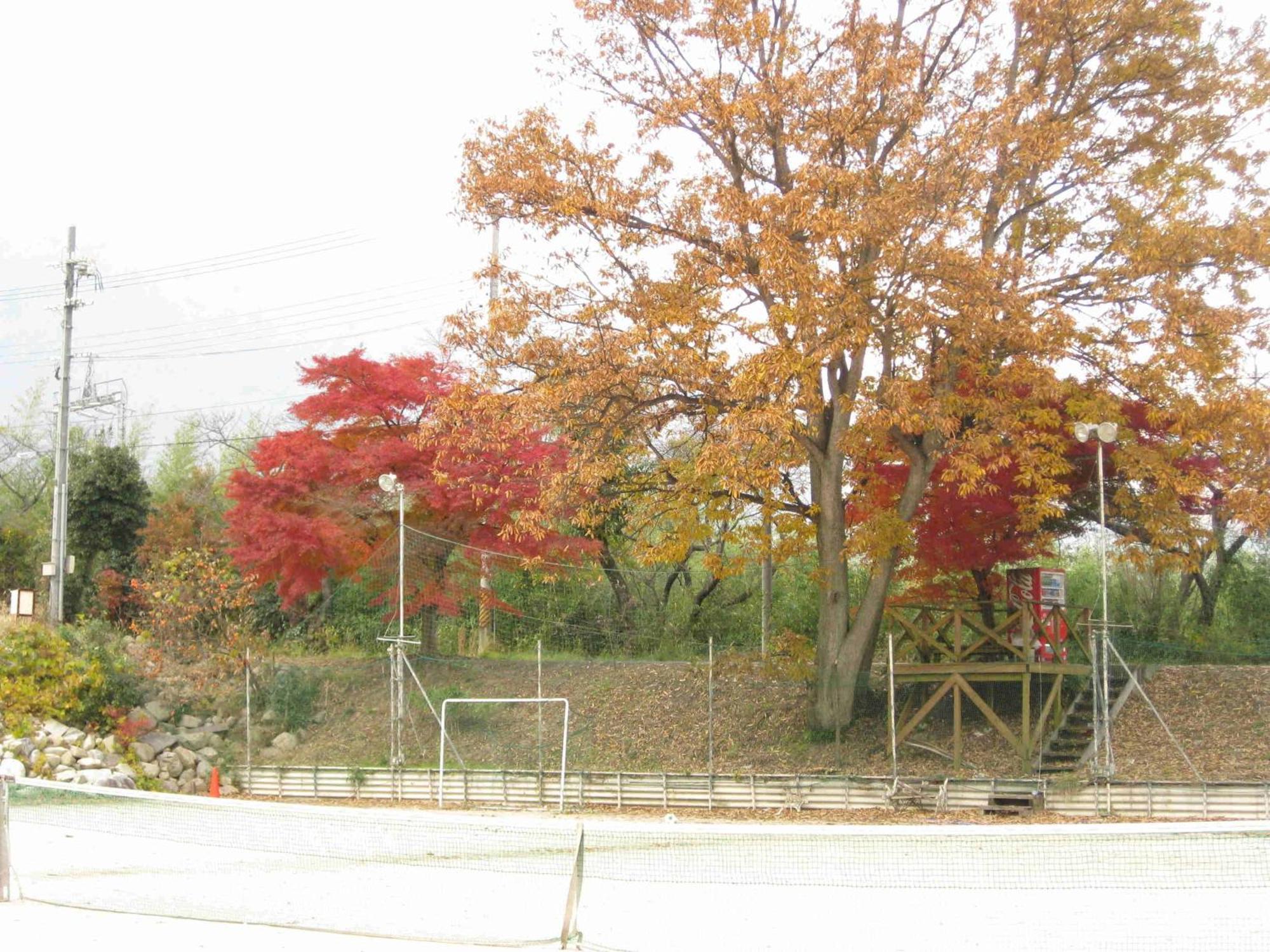 Holiday Afternoon Otsu Exterior photo